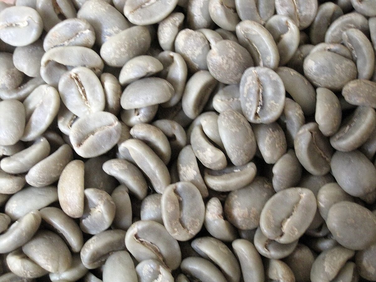 Vietnam Robusta Green Coffee — wholesale green coffee beans for export